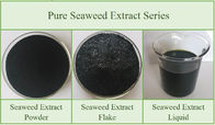 Organic Seaweed Extract Fertilizers Humic Acid Agriculture Powder Seaweed Gel Fertilizer