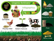 Chicken Cow Manure Mixer Organic Granular Fertilizer for Foliar Plant CAS No. 68514-28-3