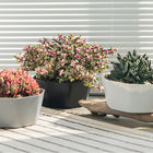 Large Diameter Irregular Plastic Flower Pots Indoor Outdoor With Vent Holes