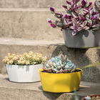 Large Diameter Irregular Plastic Flower Pots Indoor Outdoor With Vent Holes
