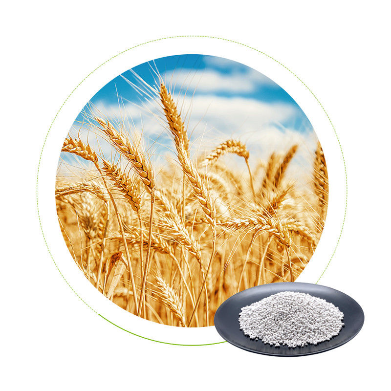 Sulfur Based Agriculture NPK Fertilizer 50kg Organic Compound NPK 15 15 15