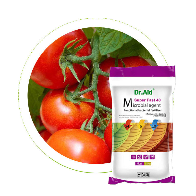 25kg Compound Tomato Fertilizer Npk 24 6 10 Chlorine - Based Bio Potash Fertilizer